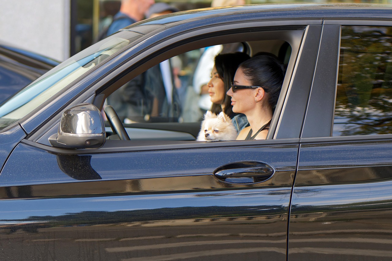 assurance auto pas cher